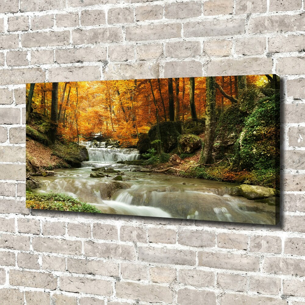 Canvas wall art Waterfall in the forest