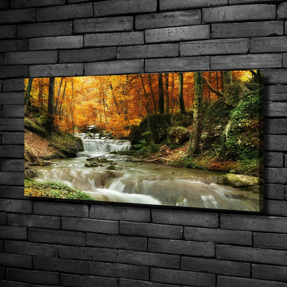 Canvas wall art Waterfall in the forest