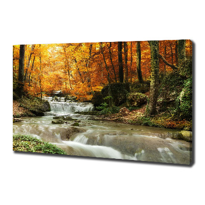 Canvas wall art Waterfall in the forest