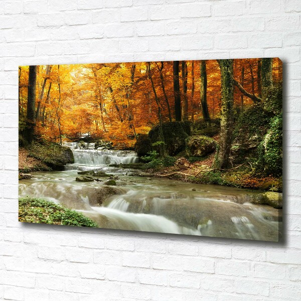 Canvas wall art Waterfall in the forest