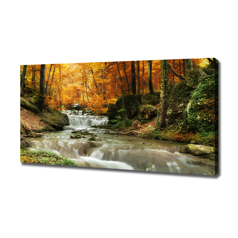 Canvas wall art Waterfall in the forest