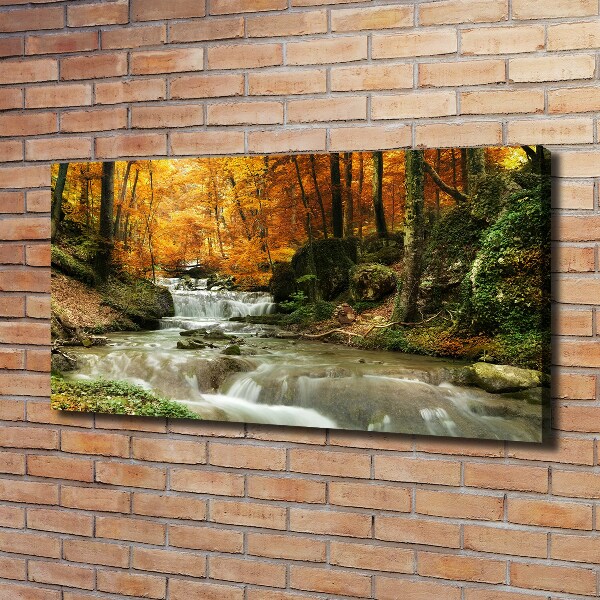 Canvas wall art Waterfall in the forest