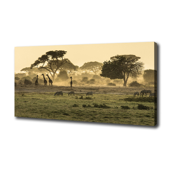 Canvas wall art Giraffes in the savanna