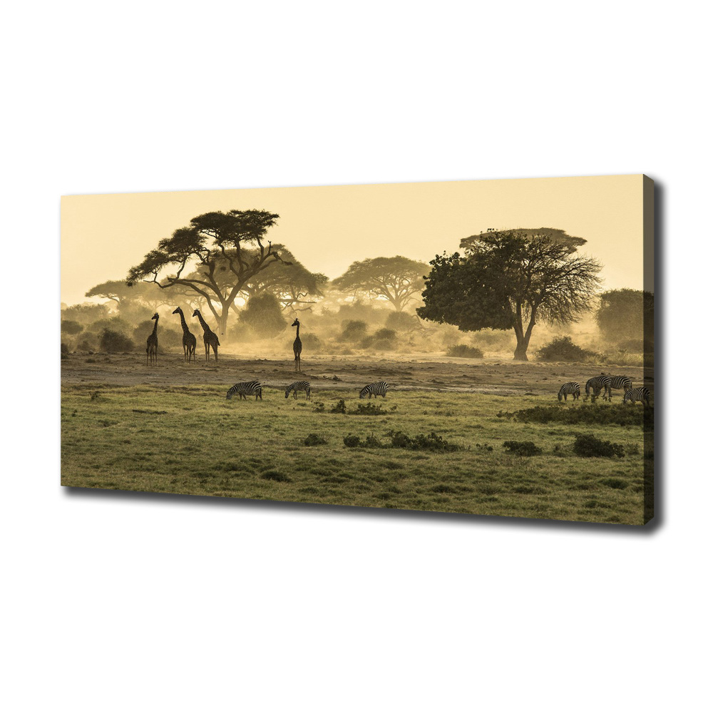 Canvas wall art Giraffes in the savanna