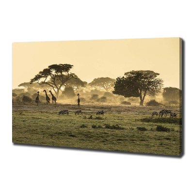 Canvas wall art Giraffes in the savanna