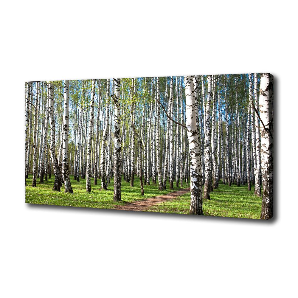 Canvas wall art Birch forest