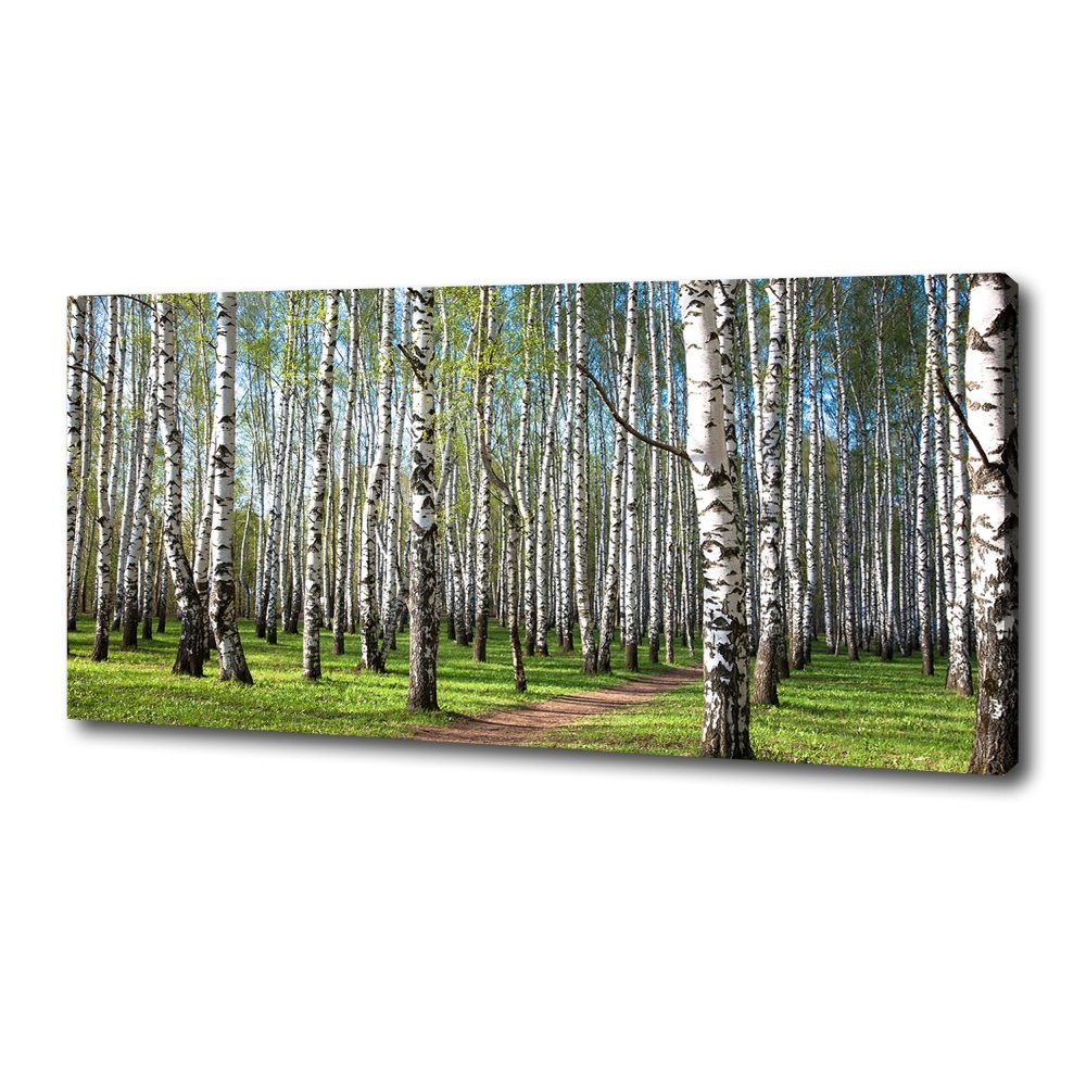 Canvas wall art Birch forest