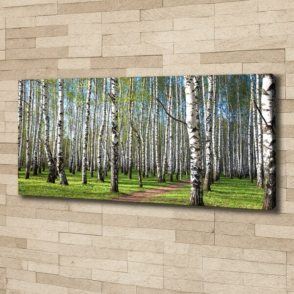 Canvas wall art Birch forest