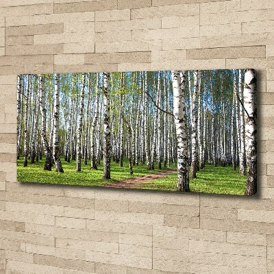 Canvas wall art Birch forest