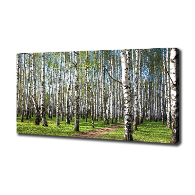 Canvas wall art Birch forest