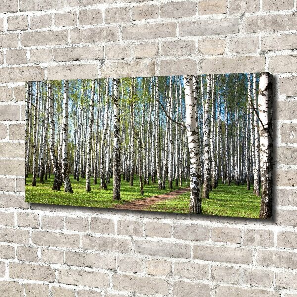 Canvas wall art Birch forest