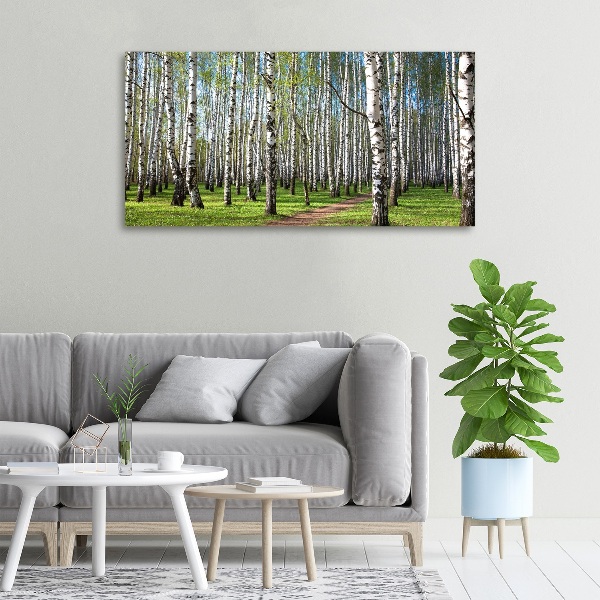 Canvas wall art Birch forest