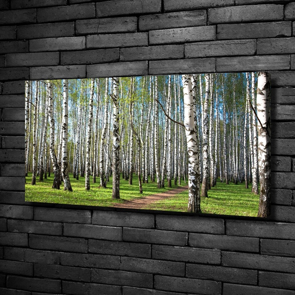 Canvas wall art Birch forest