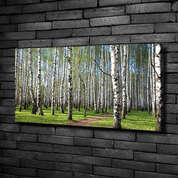 Canvas wall art Birch forest