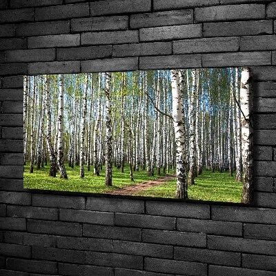 Canvas wall art Birch forest