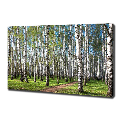 Canvas wall art Birch forest