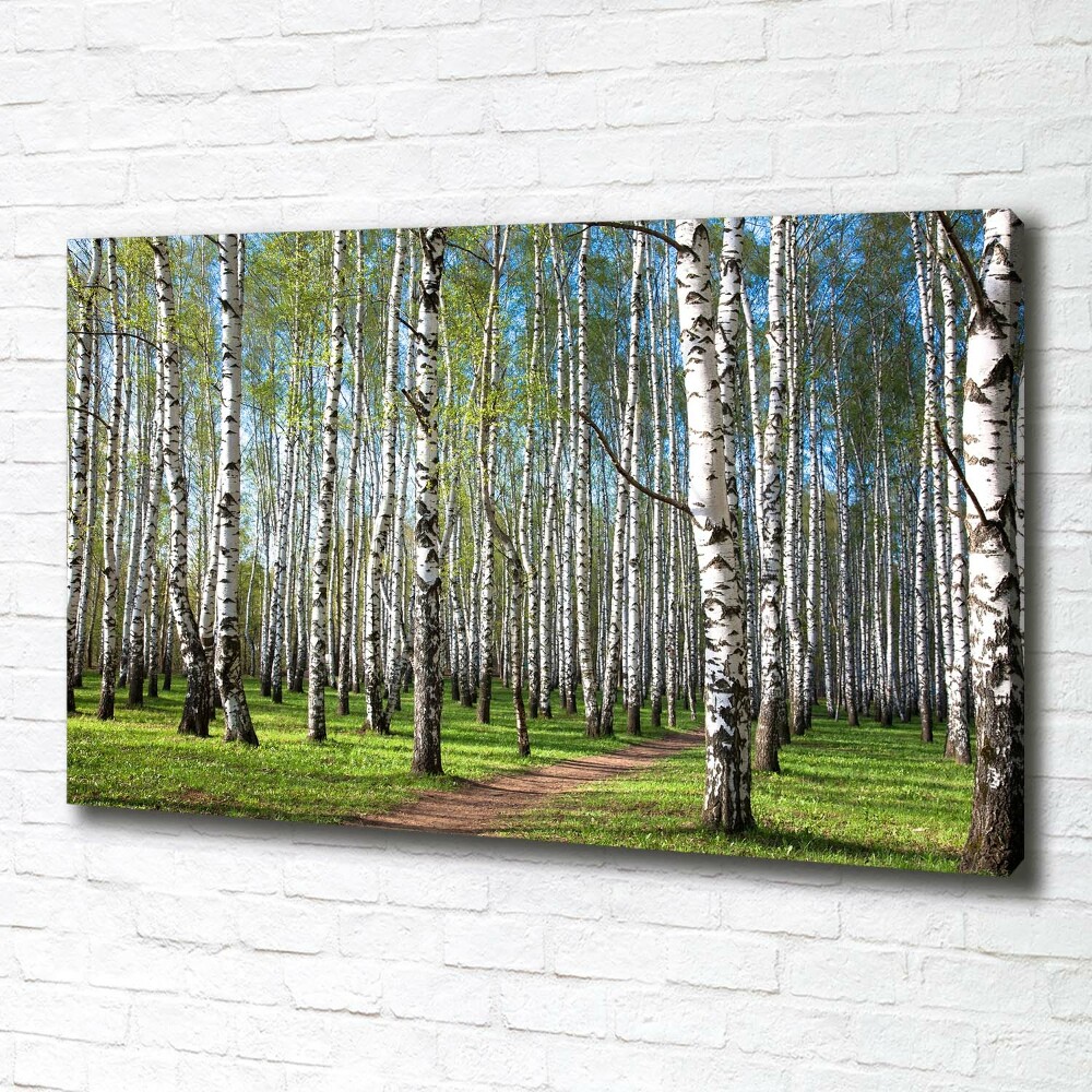 Canvas wall art Birch forest