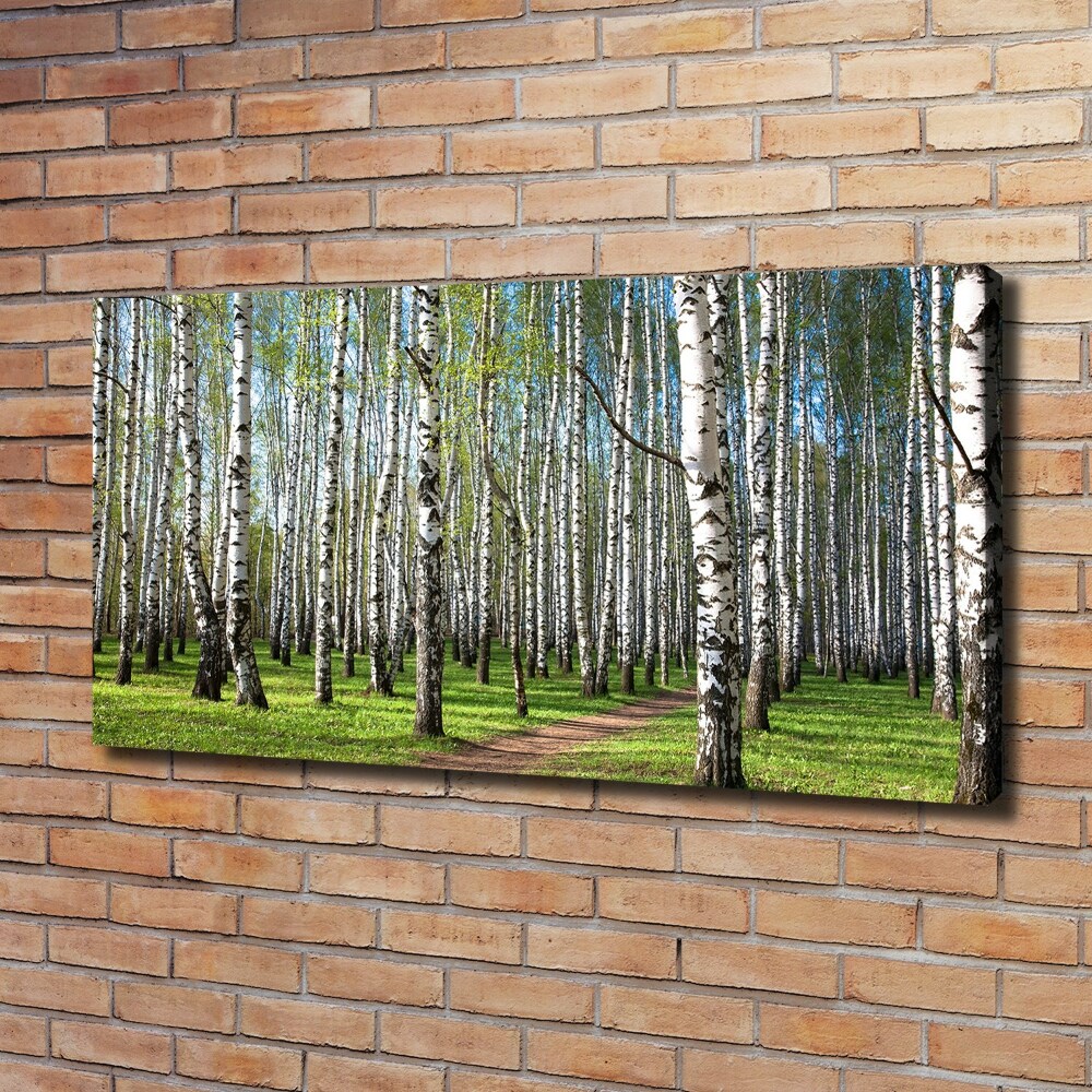 Canvas wall art Birch forest