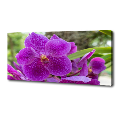 Canvas wall art Orchid