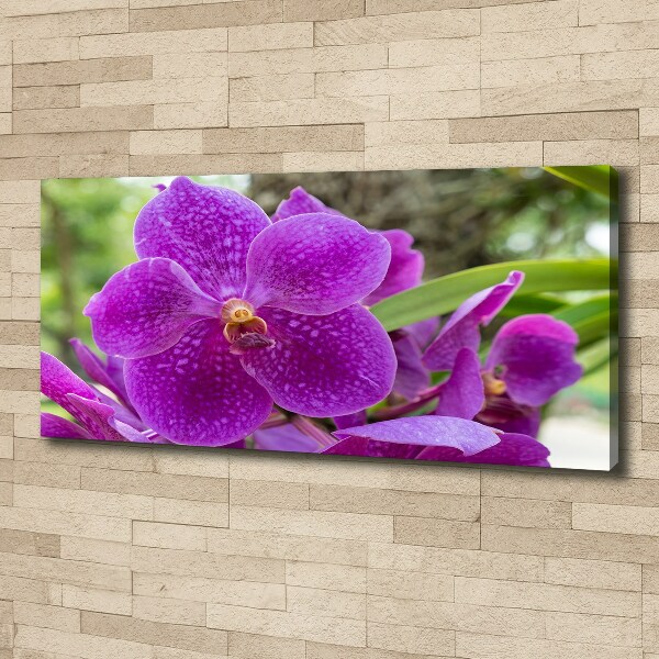 Canvas wall art Orchid