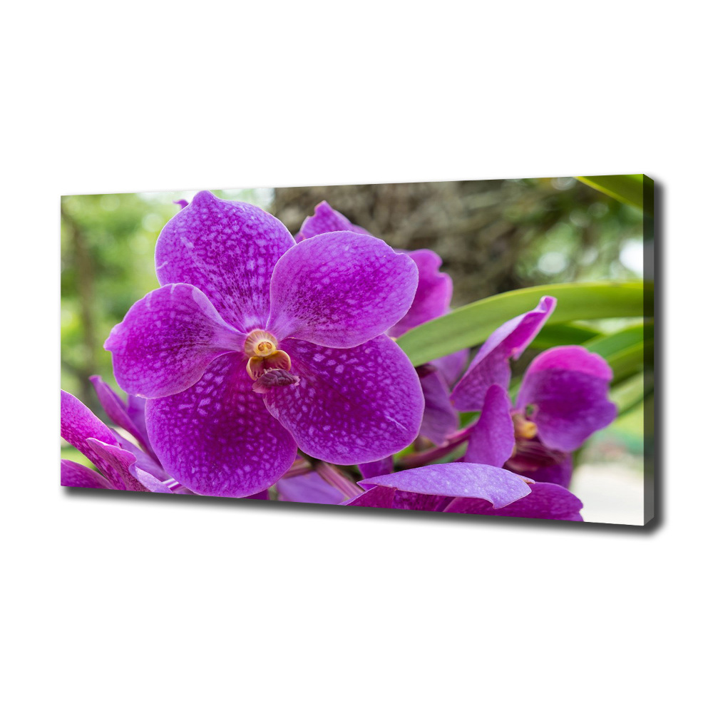 Canvas wall art Orchid