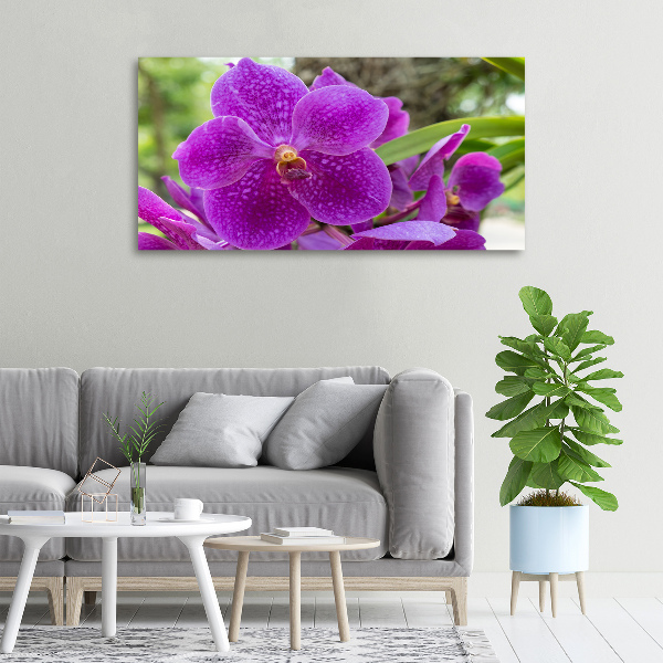 Canvas wall art Orchid