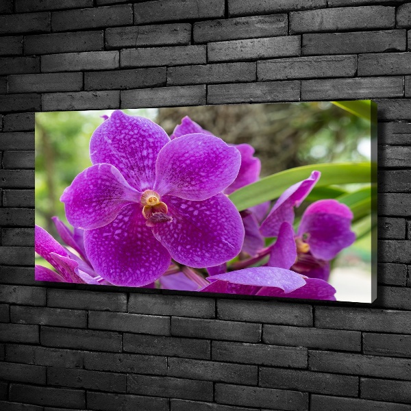 Canvas wall art Orchid