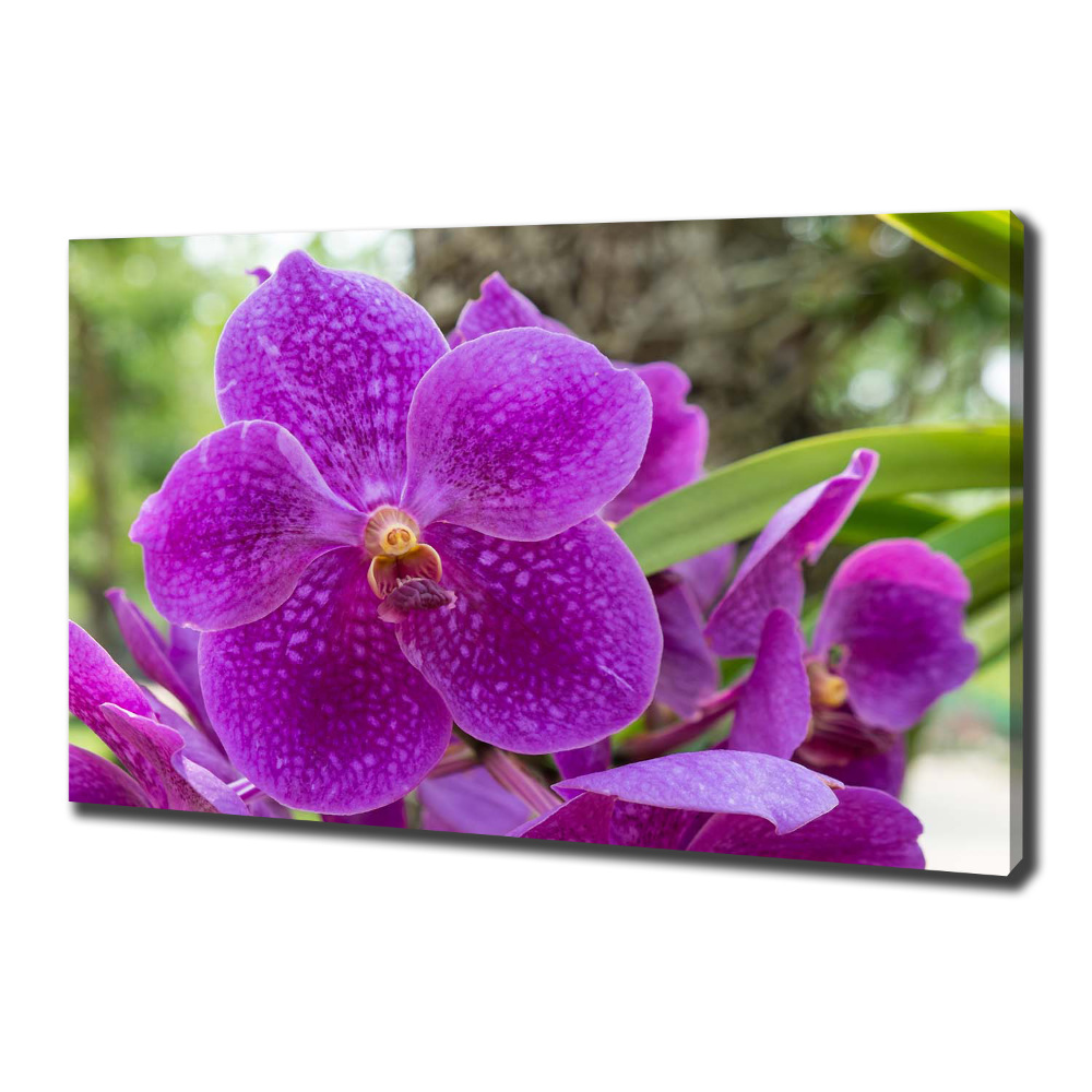 Canvas wall art Orchid