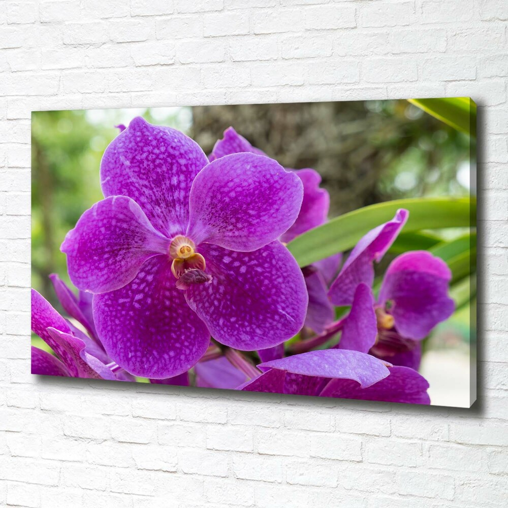 Canvas wall art Orchid