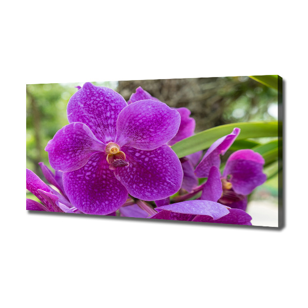 Canvas wall art Orchid