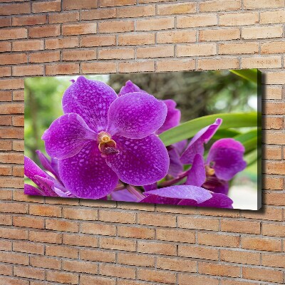 Canvas wall art Orchid