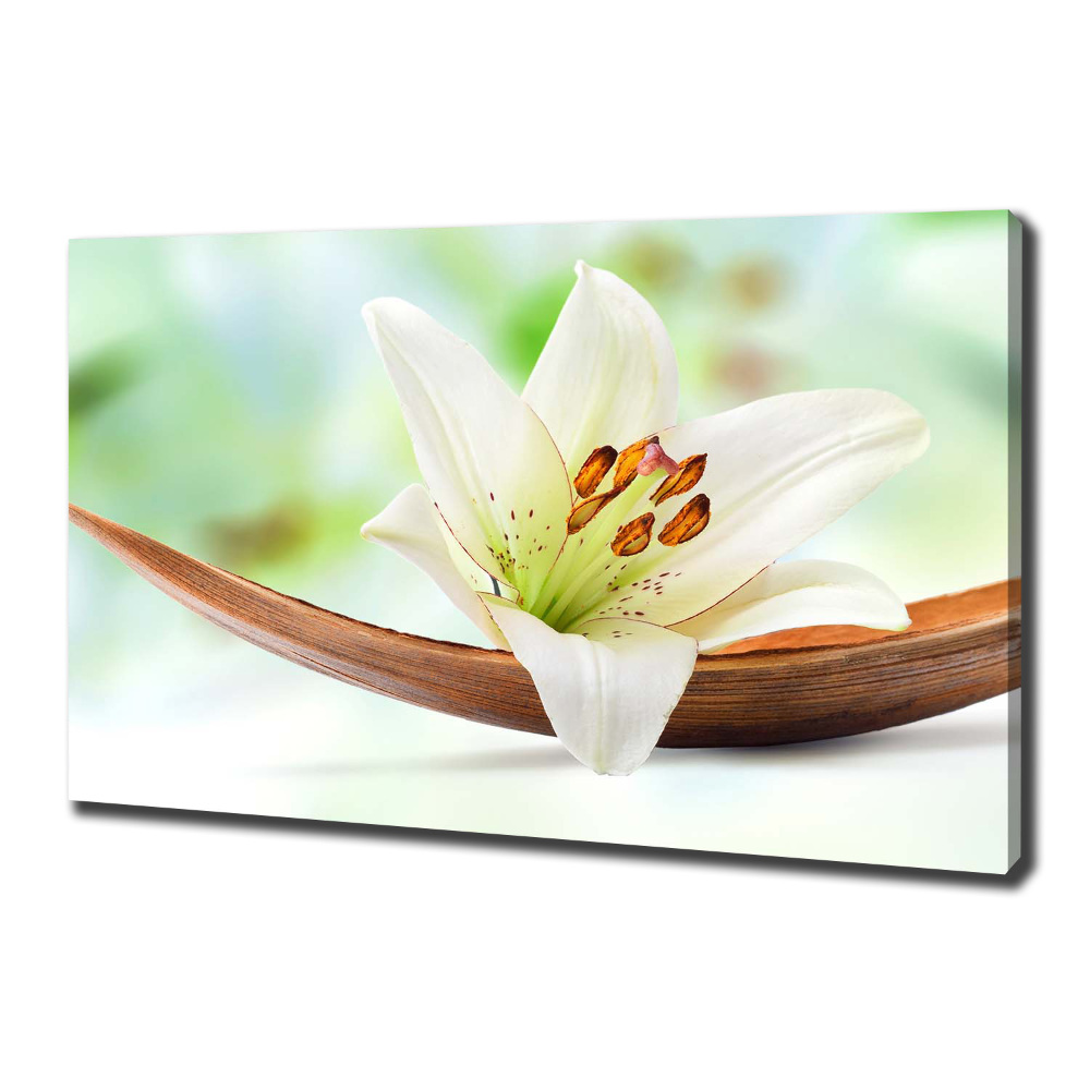 Canvas wall art Lily