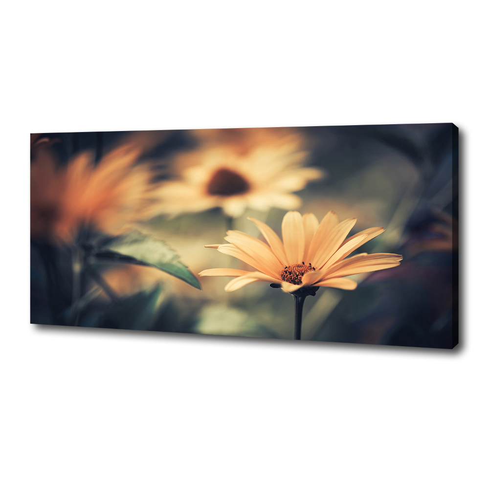 Canvas wall art Spring flower