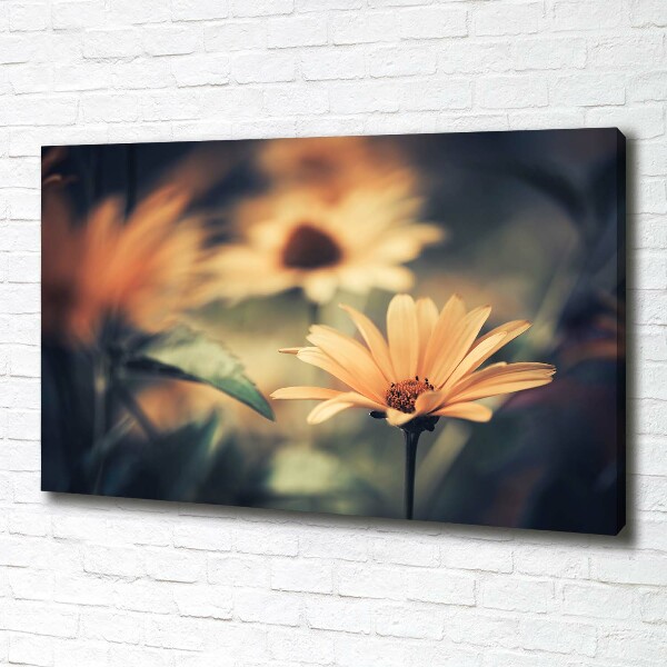 Canvas wall art Spring flower