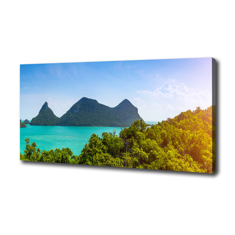 Canvas wall art Panorama Thailand