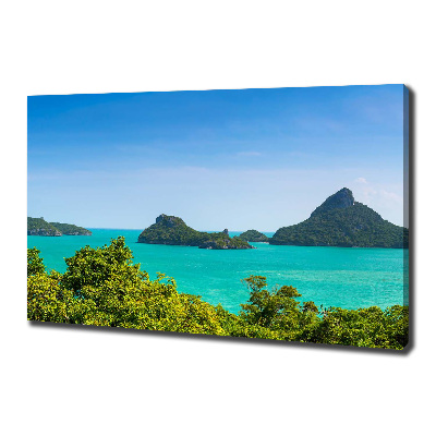 Canvas wall art Panorama Thailand