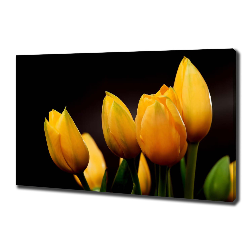 Canvas wall art Yellow tulips