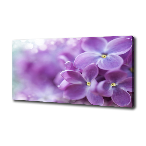 Canvas wall art Lilac flowers