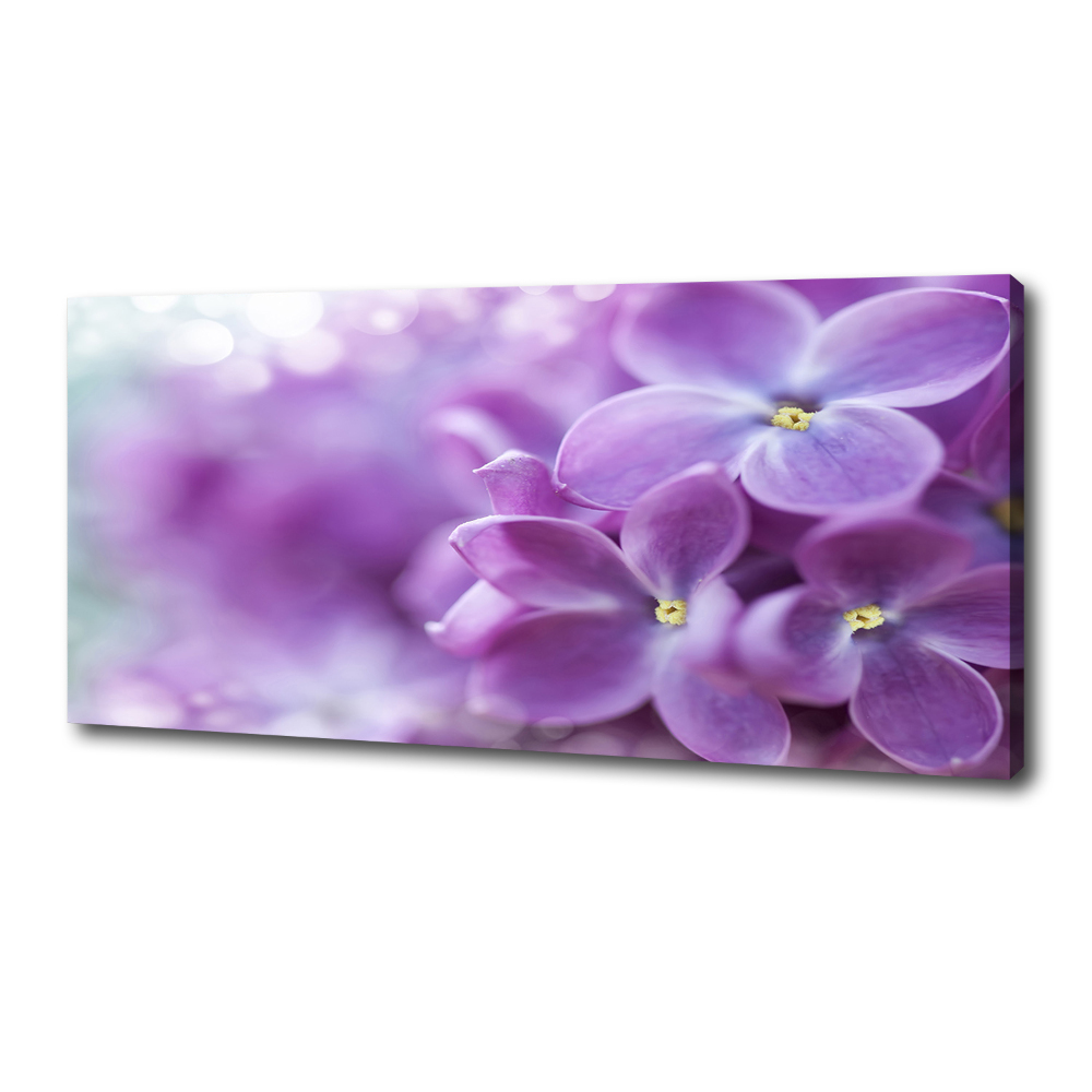 Canvas wall art Lilac flowers