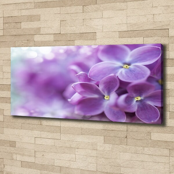 Canvas wall art Lilac flowers