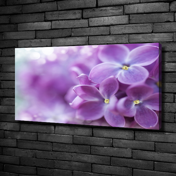 Canvas wall art Lilac flowers