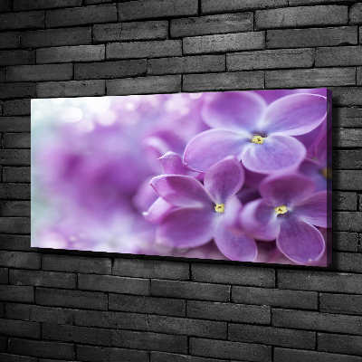 Canvas wall art Lilac flowers