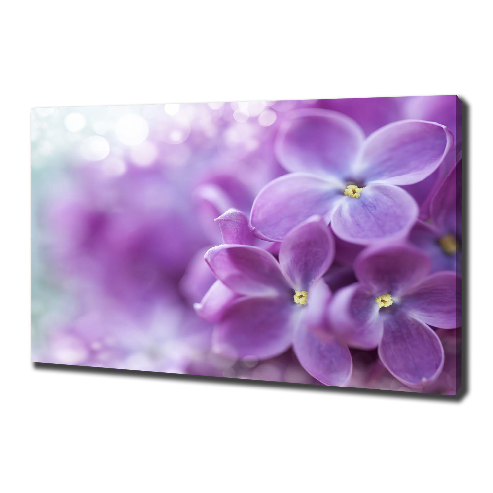 Canvas wall art Lilac flowers