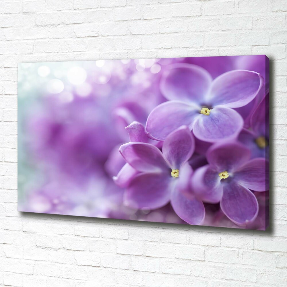 Canvas wall art Lilac flowers