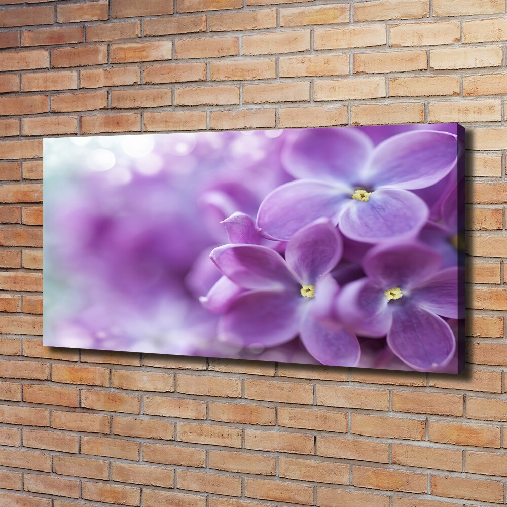 Canvas wall art Lilac flowers