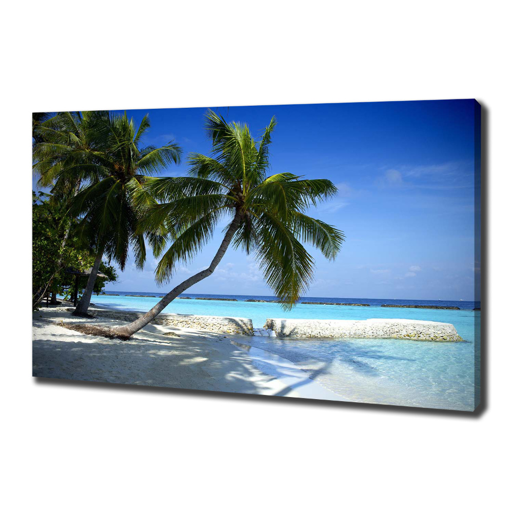 Canvas wall art Tropical beach