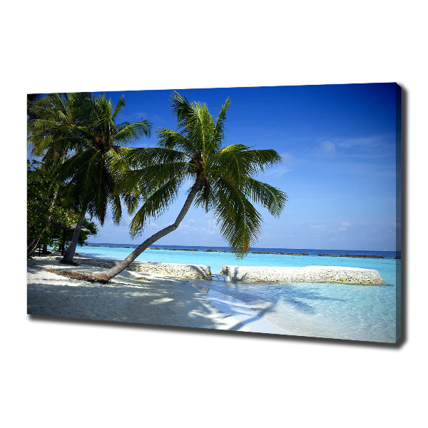 Canvas wall art Tropical beach