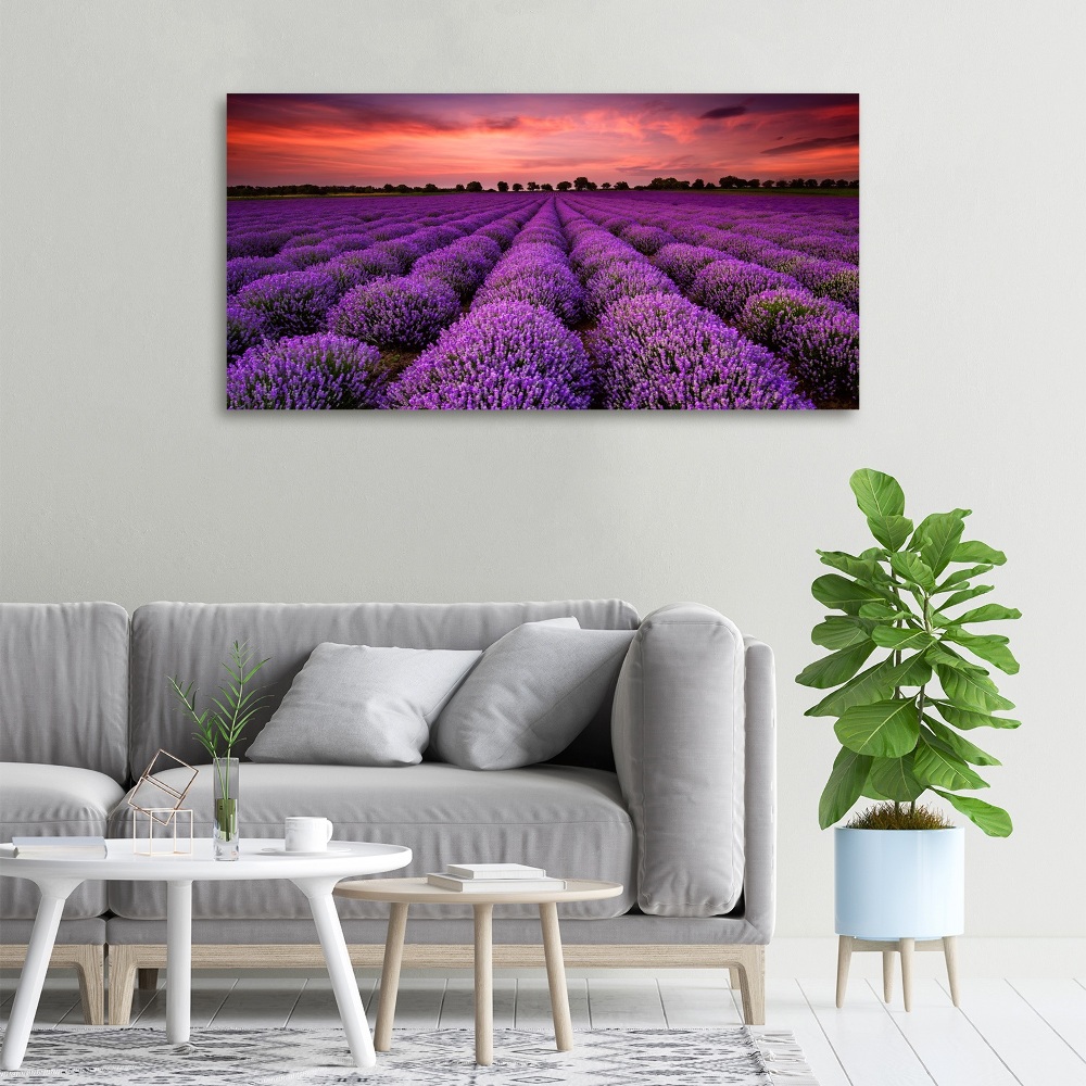 Canvas wall art Lavender field