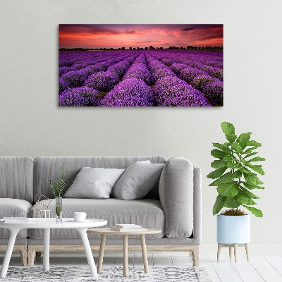 Canvas wall art Lavender field