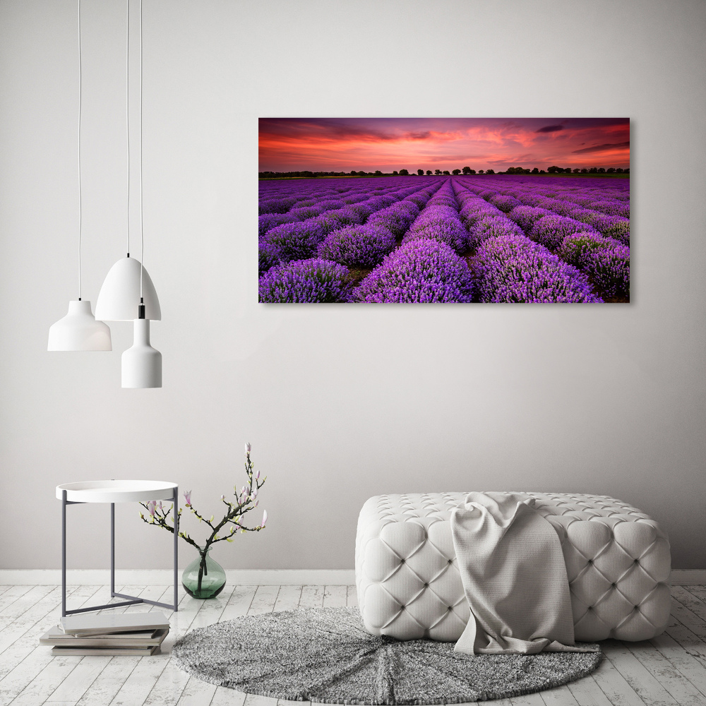 Canvas wall art Lavender field